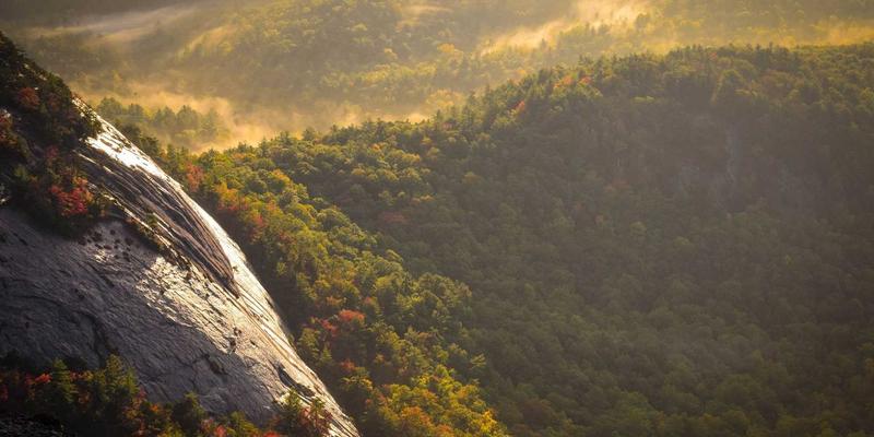 5G赋能万物智联：解锁物联网开发新纪元与资源革命