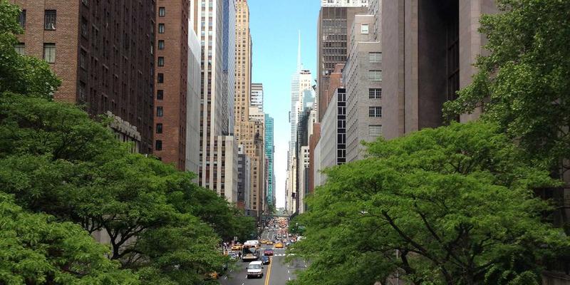 IPv6部署攻坚:从网络技术到编程开发的全面挑战与平滑过渡方案