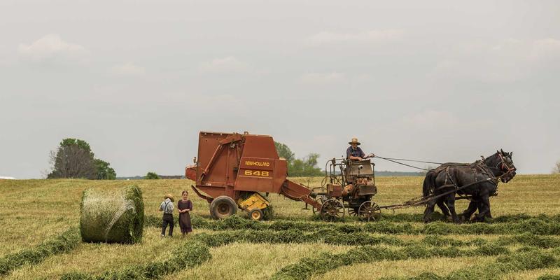 决胜毫秒之间：网络性能监控与优化工具选型实战指南